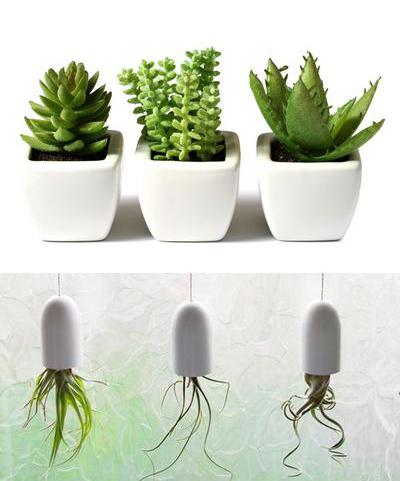 室內擺放植物，起到綠色節(jié)能降耗